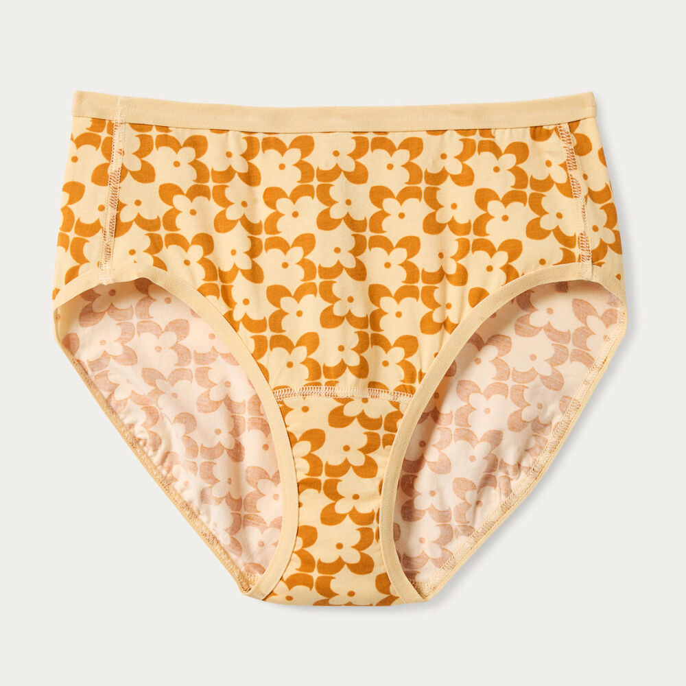 Women's Free Range Organic Cotton Briefs Main Image
