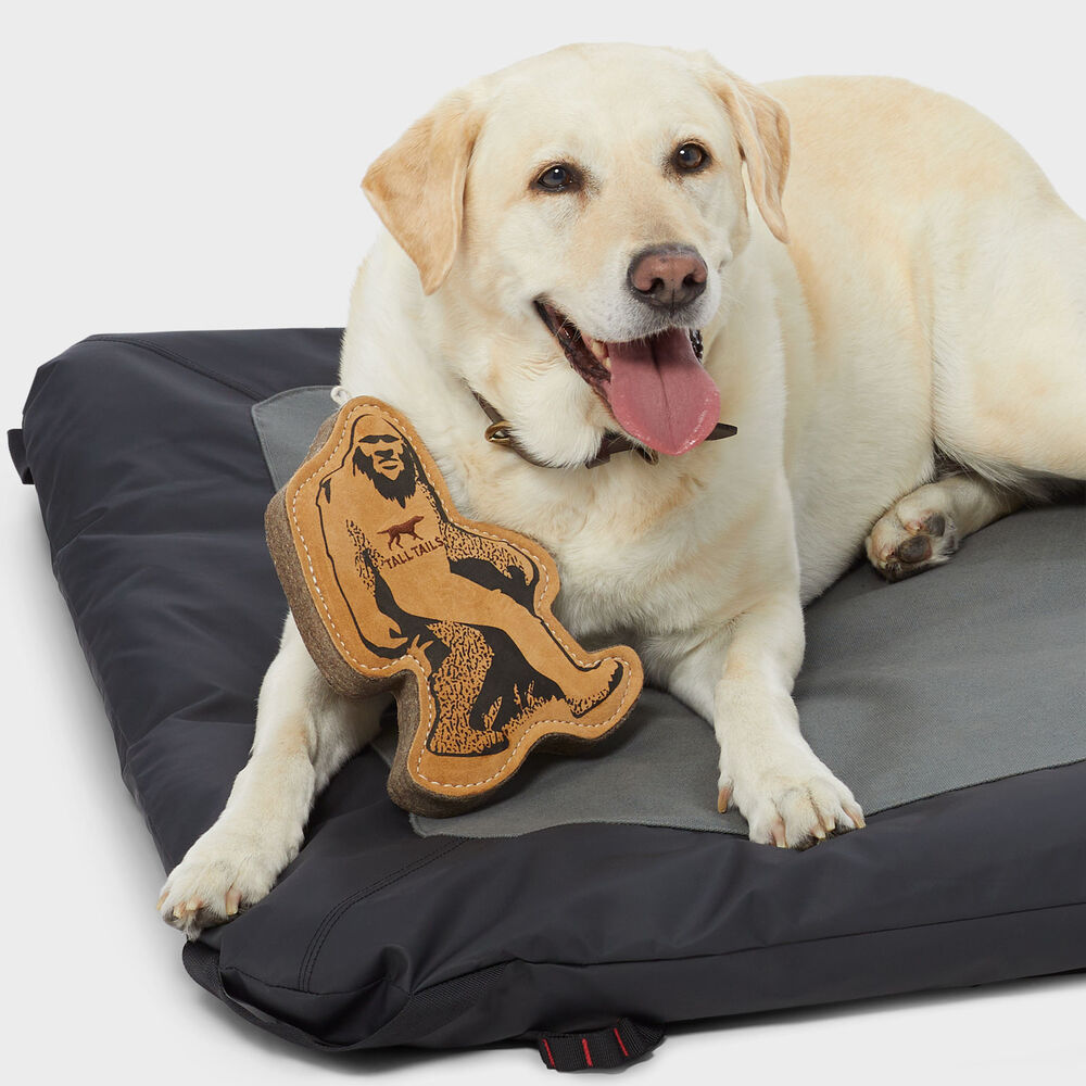 Tall Tails Big Foot Leather Dog Toy Main Image
