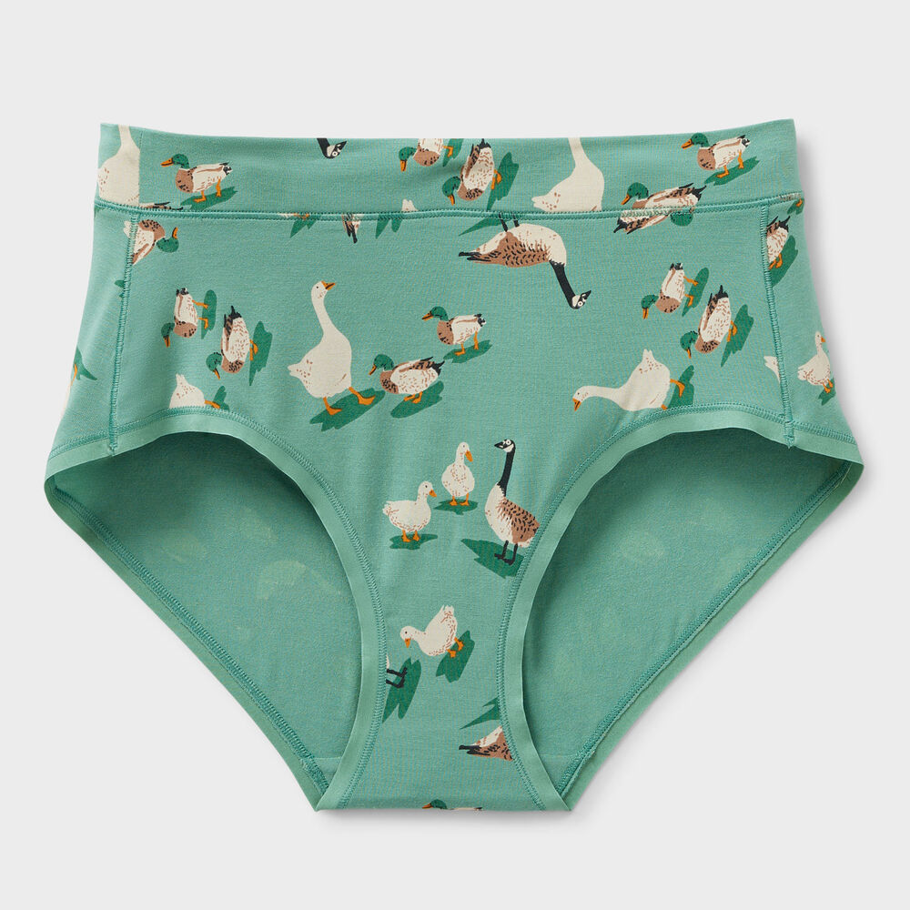 Women's Plus Dang Soft Modern Briefs Main Image