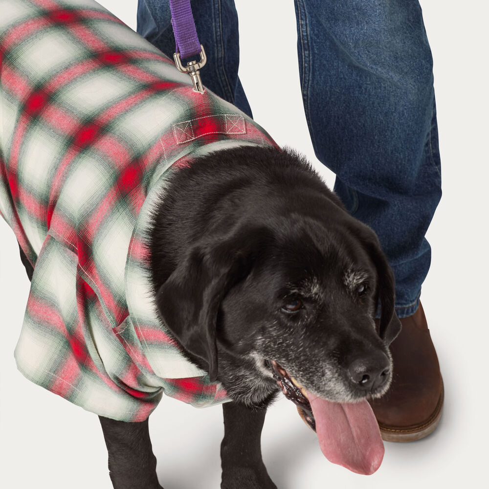 Dog's Free Swingin' Flannel Shirt Main Image