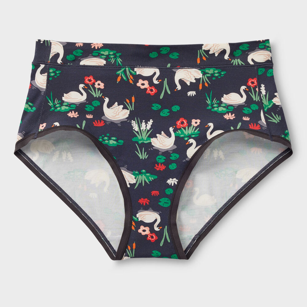 Women's Plus Dang Soft Modern Briefs Main Image