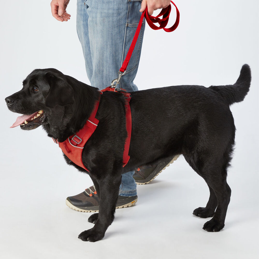 Ruffwear Front Range Harness Main Image