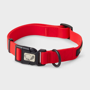 Duluth Trading Stink-Proof Dog Collar