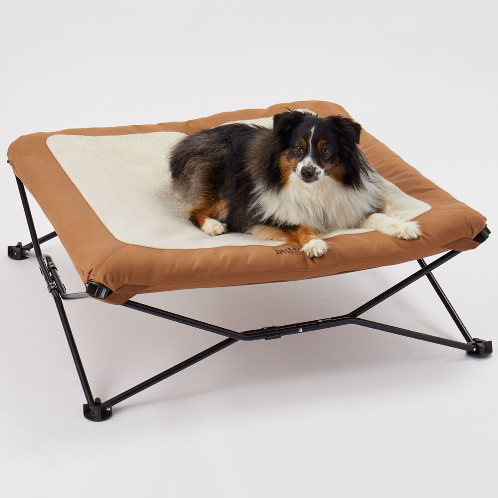 Insulated Pad for Mesh Dog Bed Main Image