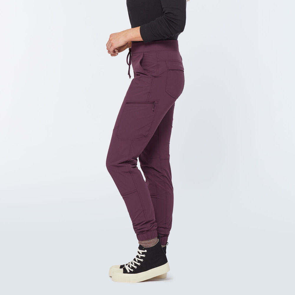 Women's Flexpedition Joggers Main Image