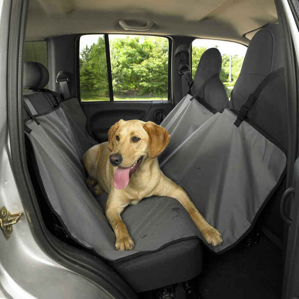 Scout's Seat Saver Main Image