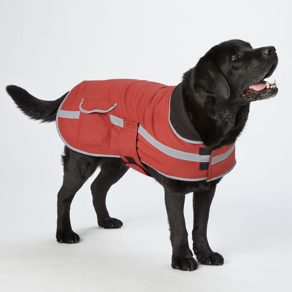 Grab Dog Jacket Main Image