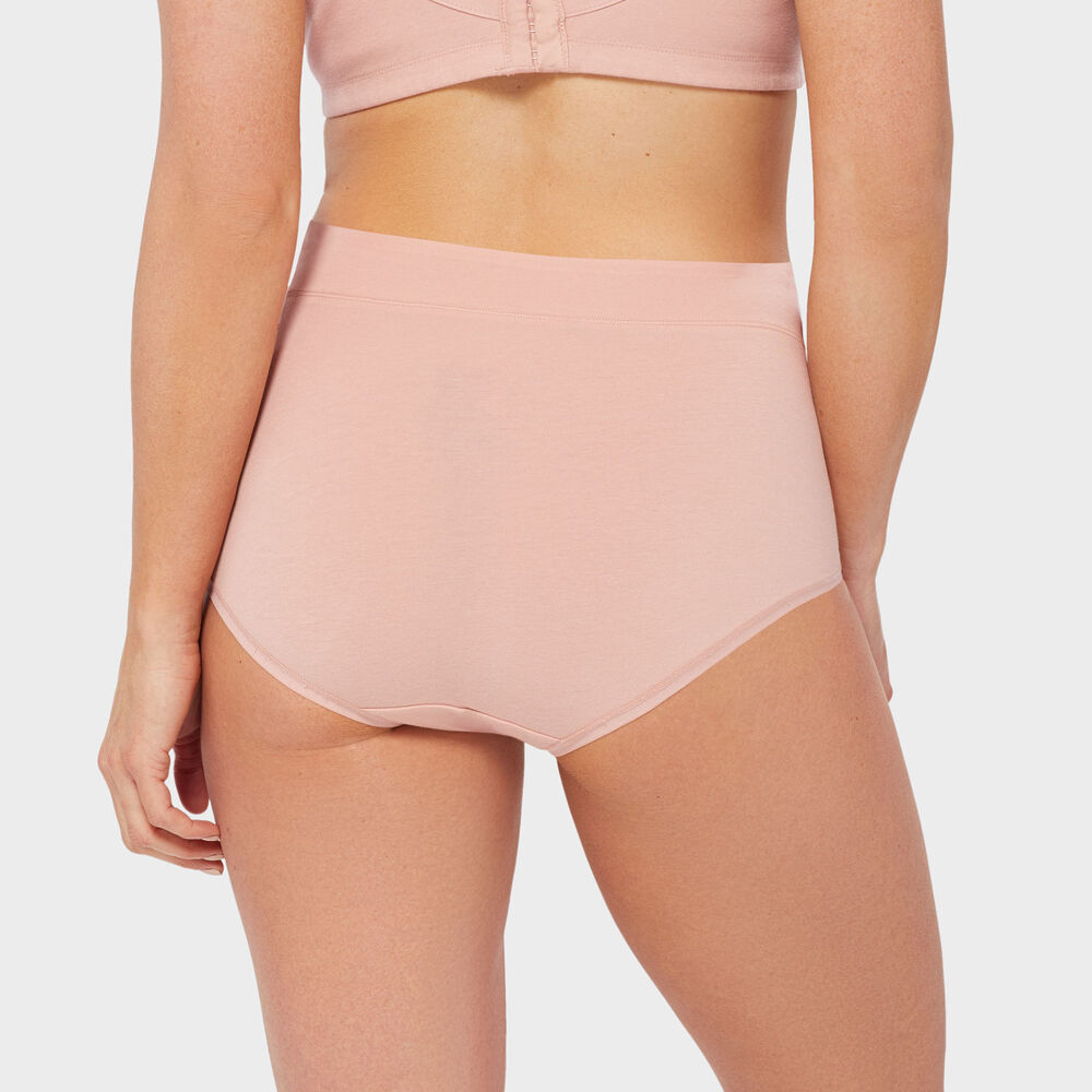 Women's Free Range Modern Briefs Main Image