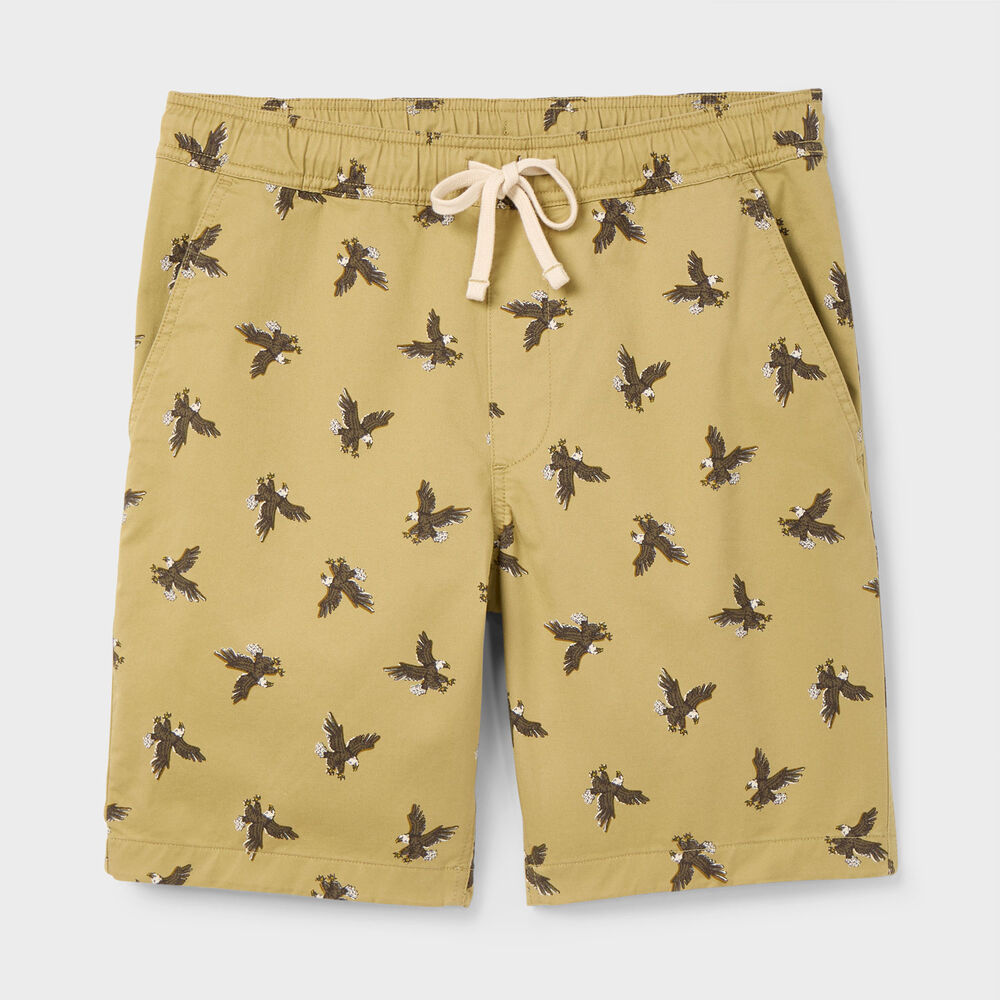 Men's BBQ Standard Fit 9'' Shorts Main Image