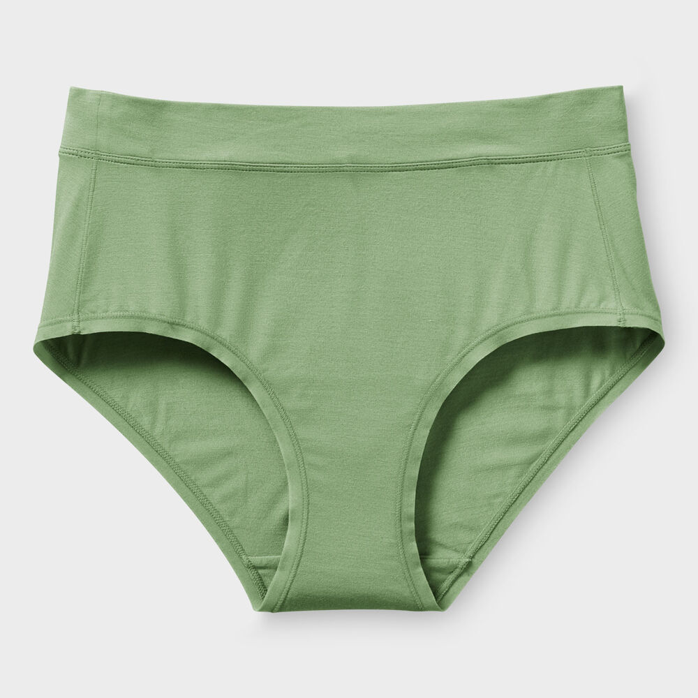 Women's Plus Dang Soft Modern Briefs Main Image