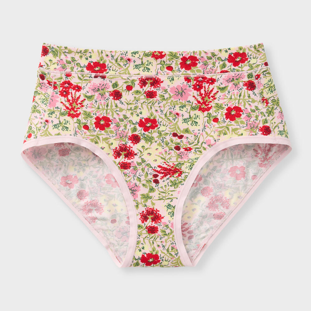 Women's Dang Soft Modern Briefs Main Image