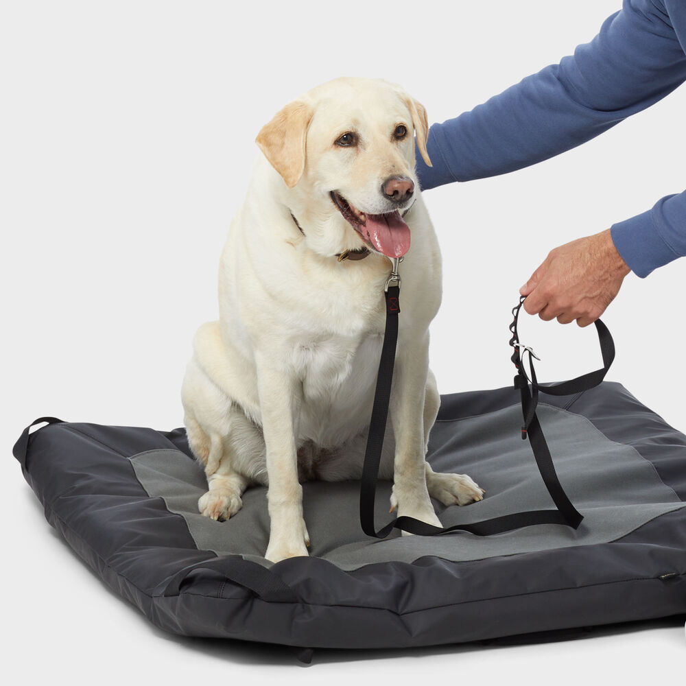 Fire Hose Travel Dog Bed GNM Main Image