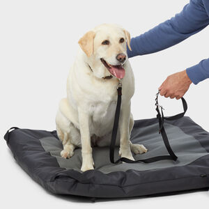 Fire Hose Travel Dog Bed
