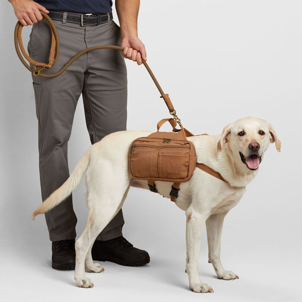 Fire Hose Dog Saddle Bags Main Image