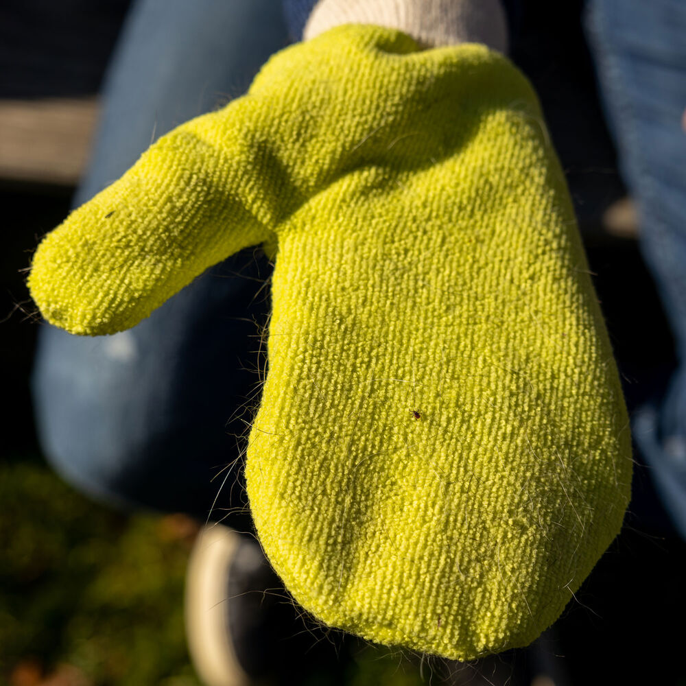 Tick Mitt Main Image