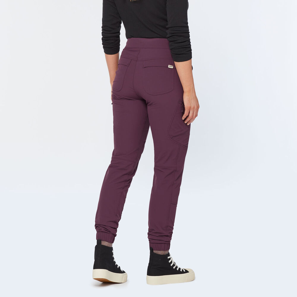 Women's Flexpedition Joggers Main Image
