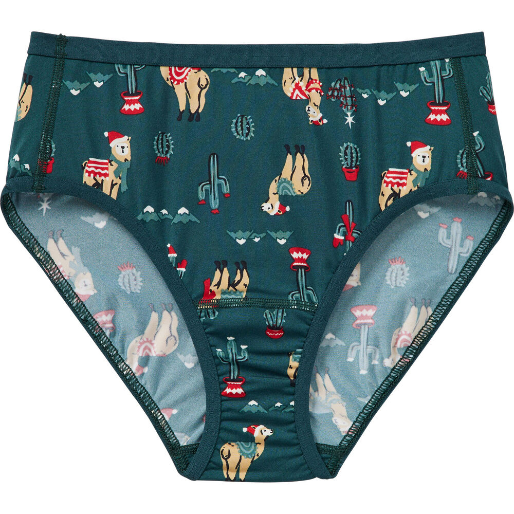 Women's Plus Armachillo Cooling Briefs Main Image
