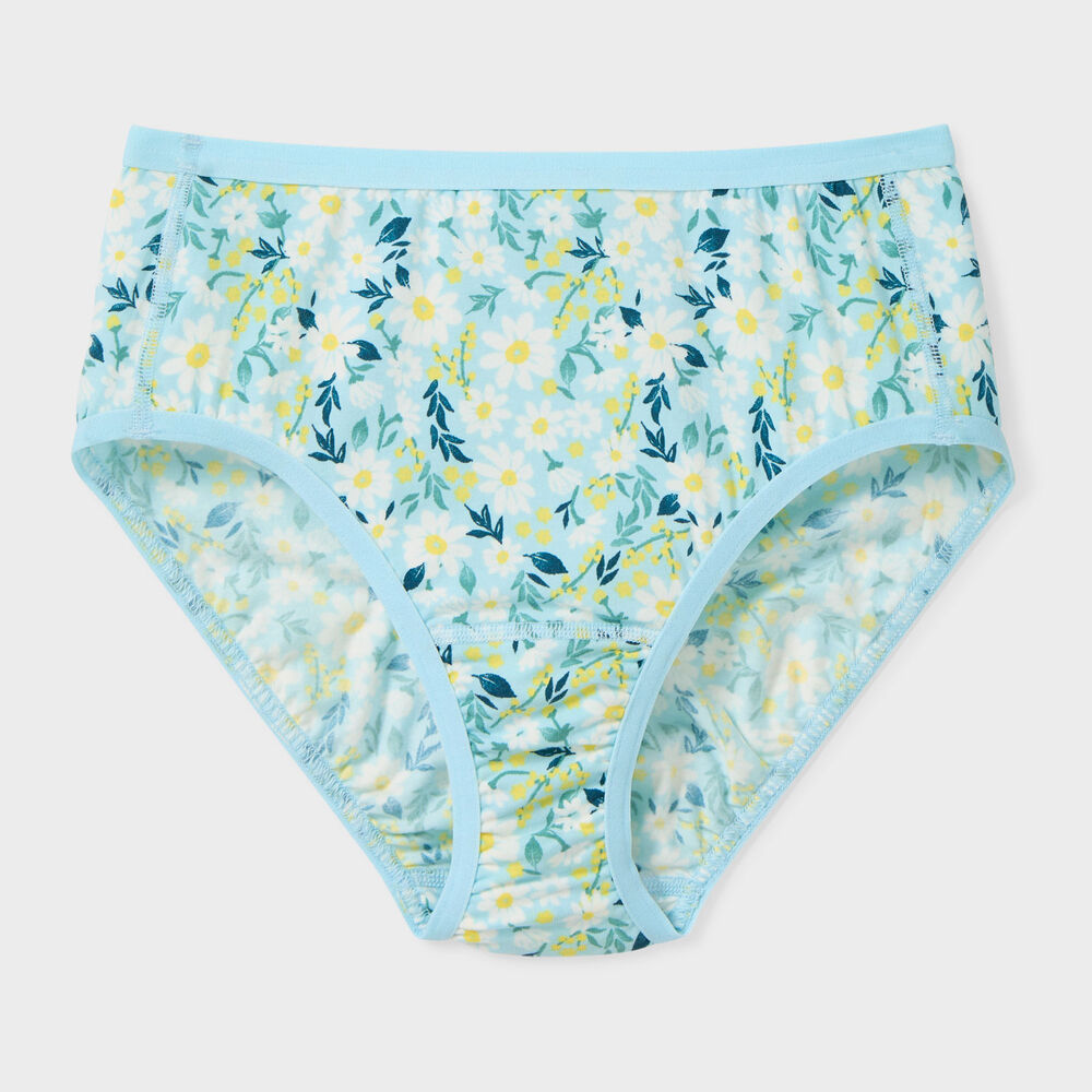 Women's Free Range Organic Cotton Briefs Main Image