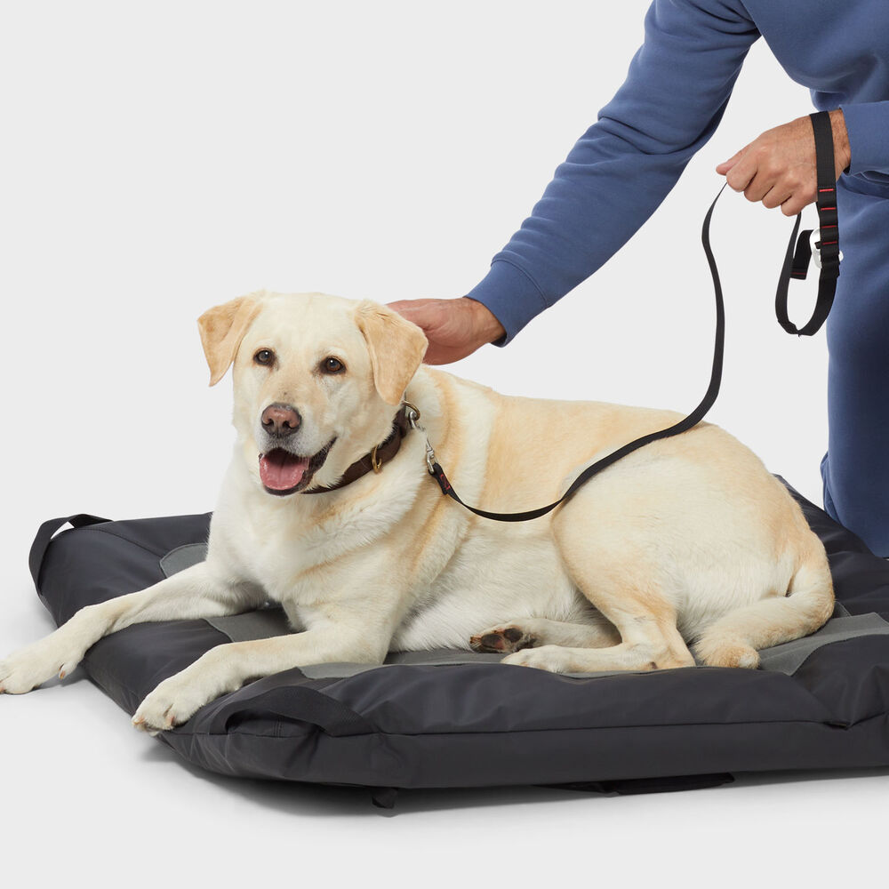 Fire Hose Travel Dog Bed Main Image