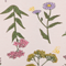 Light Pink Wildflowers