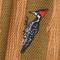 Woodpecker Print