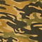 Cumin Stripe Camo