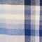 Blue Tonal Madras