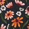 Black Coneflowers